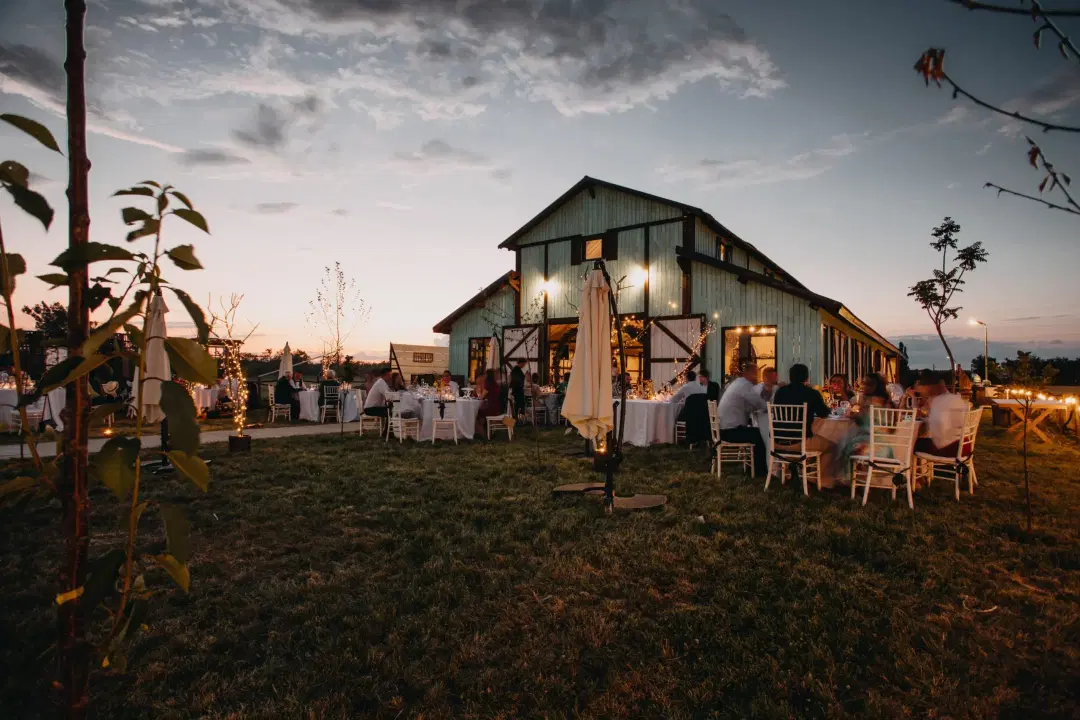 Artist The Barn - 1