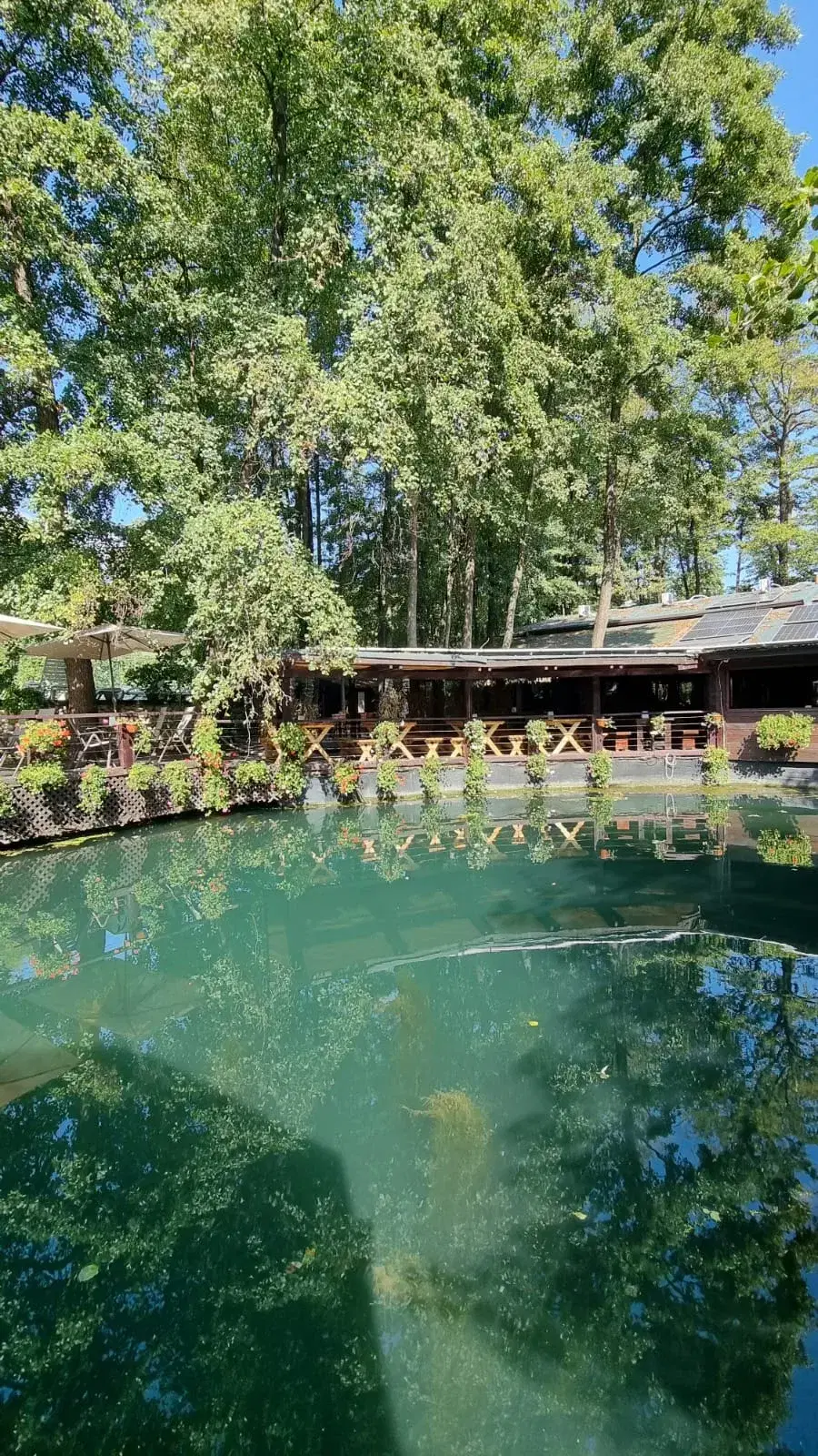 Casa din padure - 6