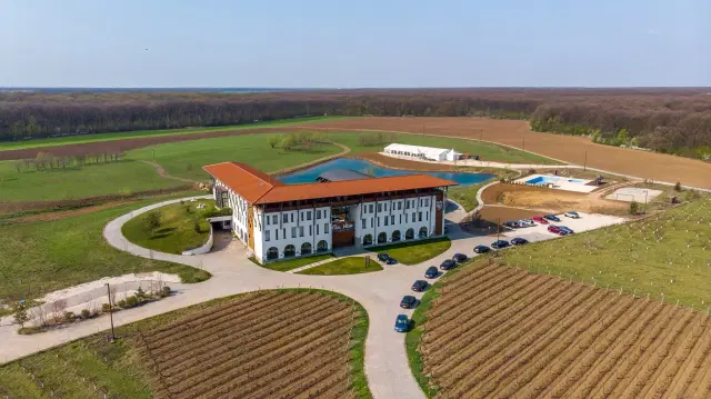 Casa Vlăsia