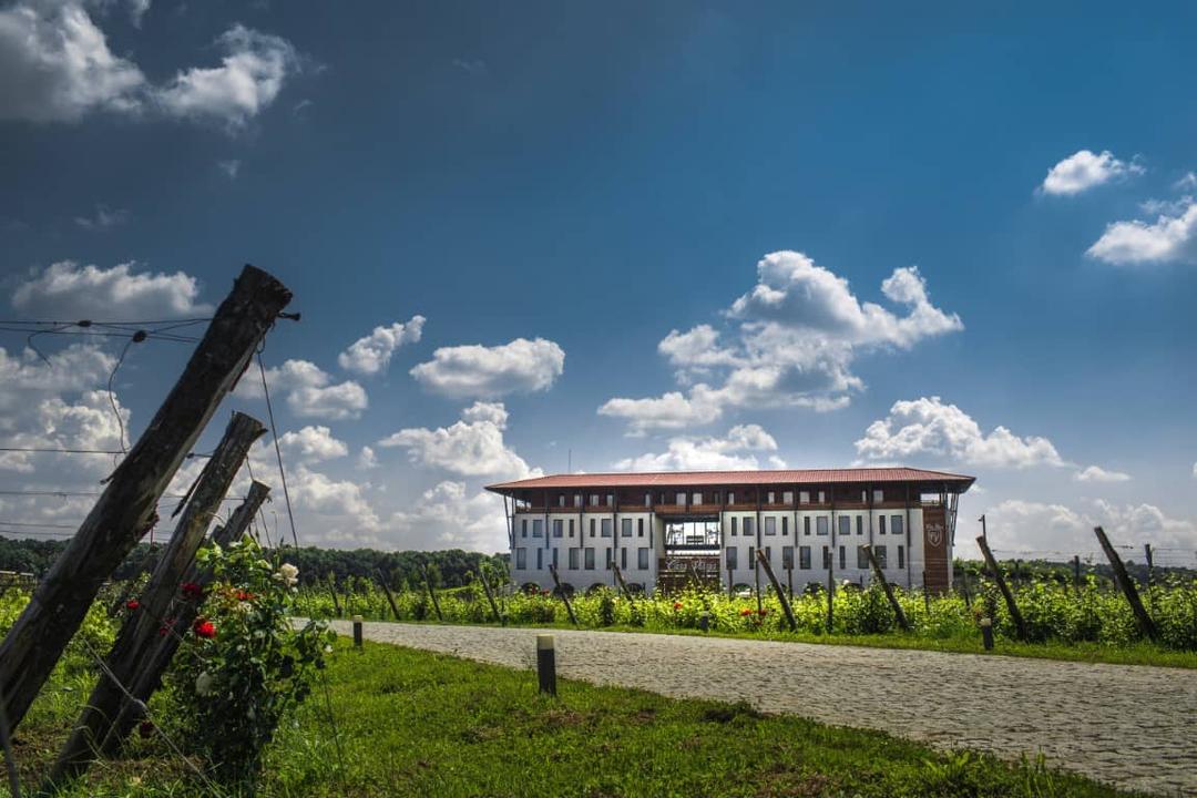 Casa Vlasia Snagov - 2