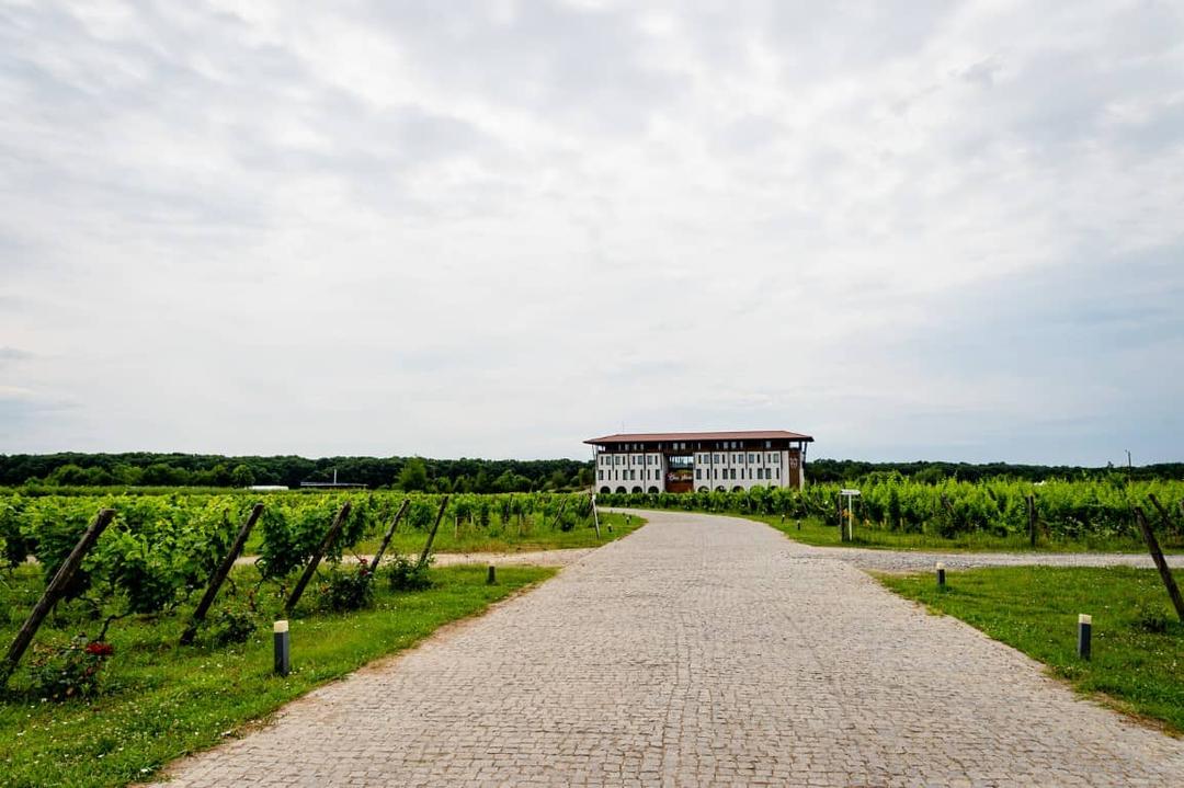 Casa Vlasia Snagov - 6