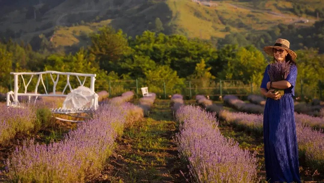 Hanul Cu Lavanda - 4