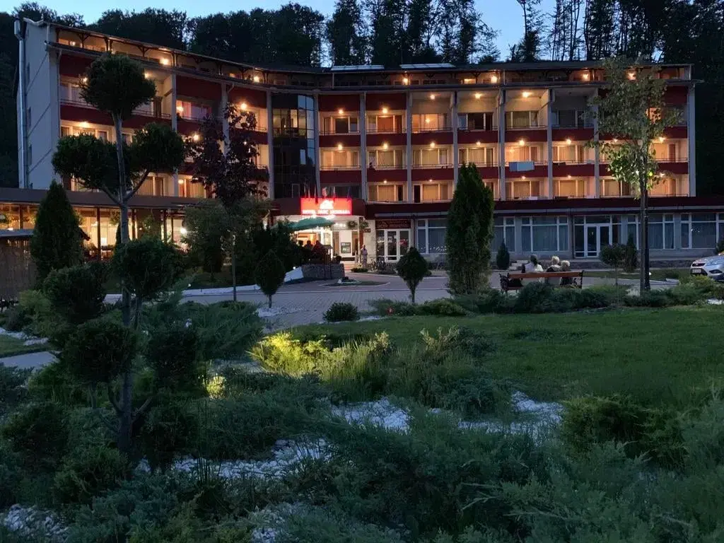 Hotel Parc Moneasa - 3