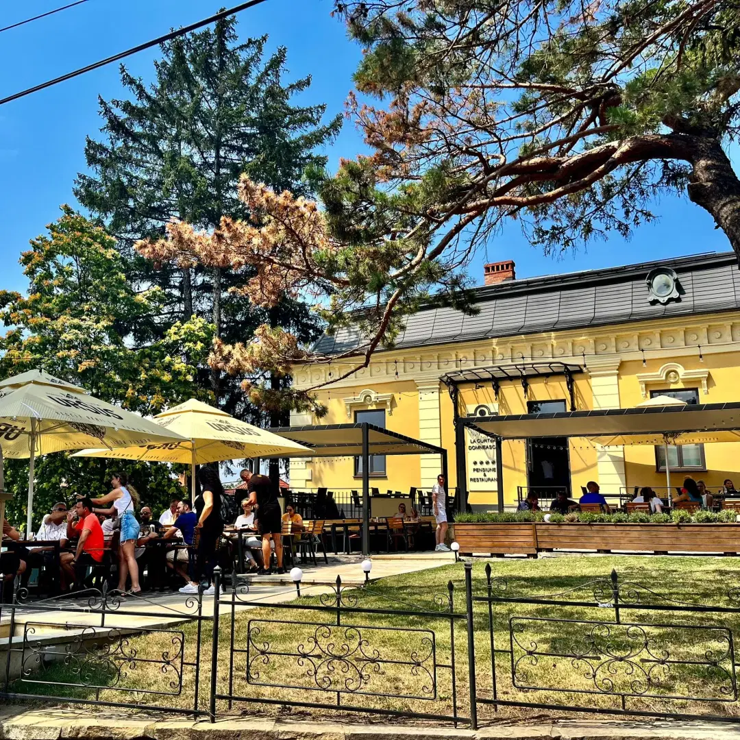 La Curtea Domneasca - 6