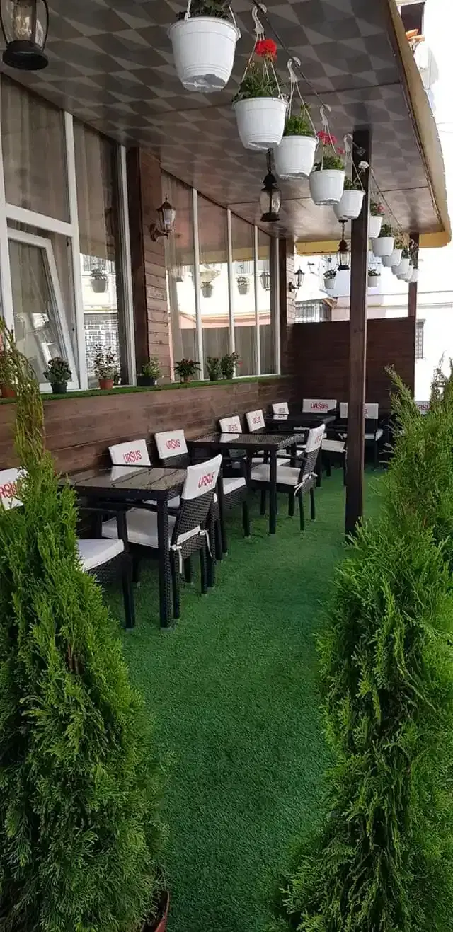 Fără imagini