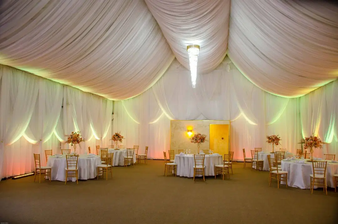 Lolu Forest Events - 1