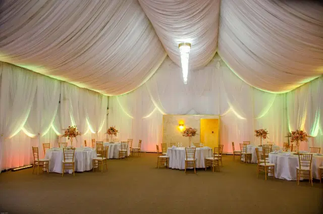 Lolu Forest Events