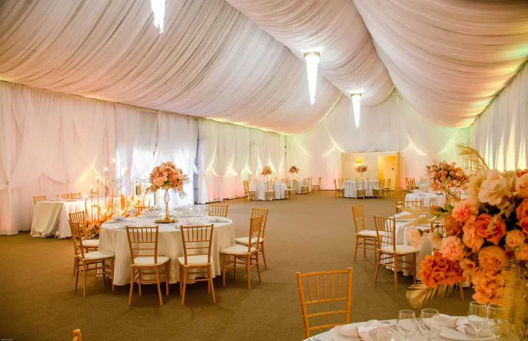 Lolu Forest Events - 3