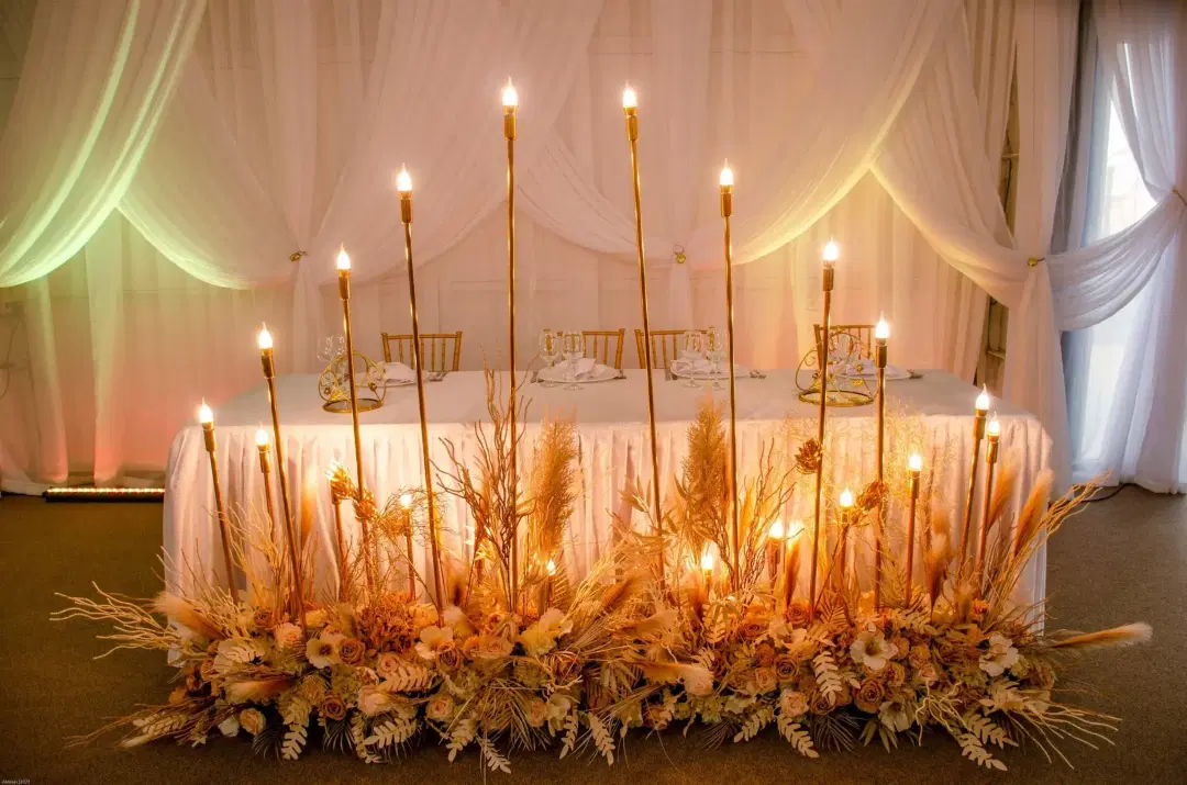 Lolu Forest Events - 4
