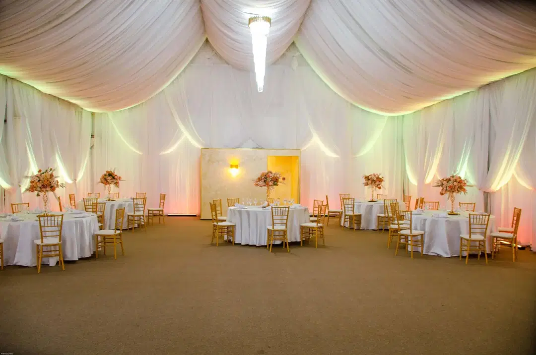 Lolu Forest Events - 5