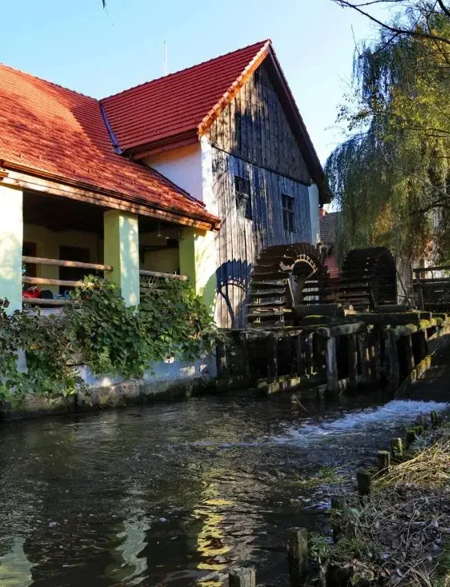 Moara lu Antone - 2