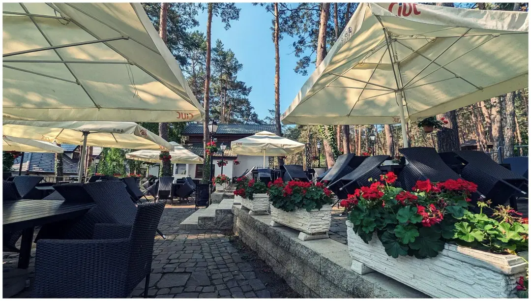 Parcul cu Pini - 6