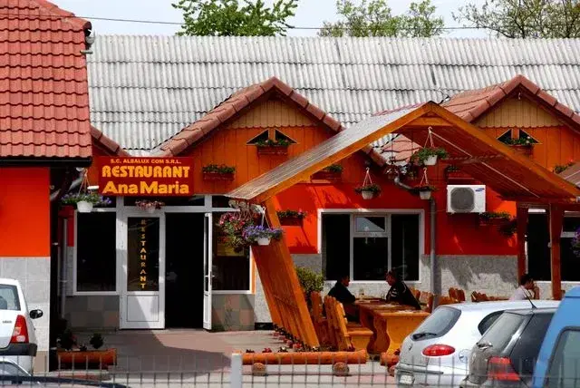 Pensiune Ana Maria - 2