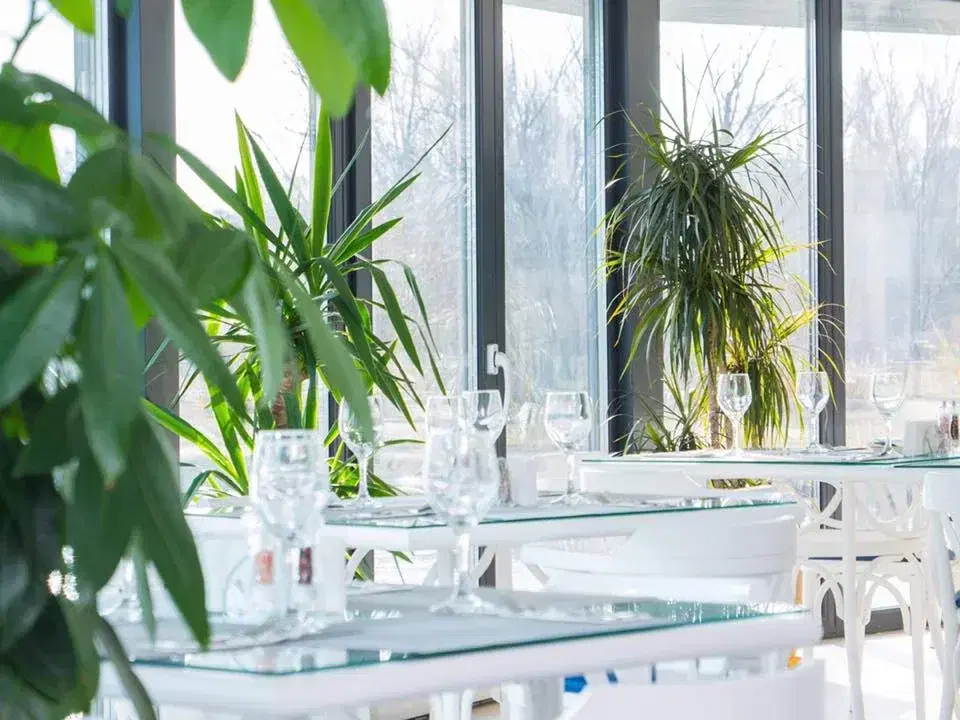 Restaurant B Arca - 3