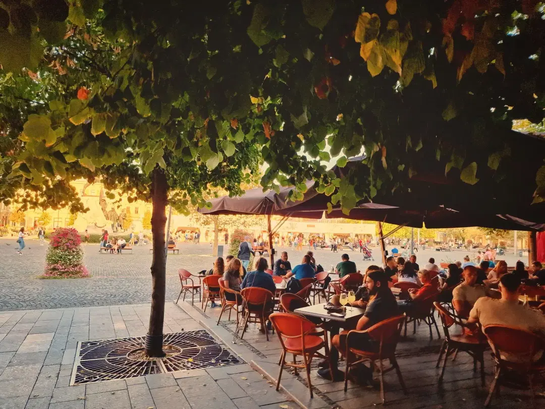 Restaurant Toulouse - 5