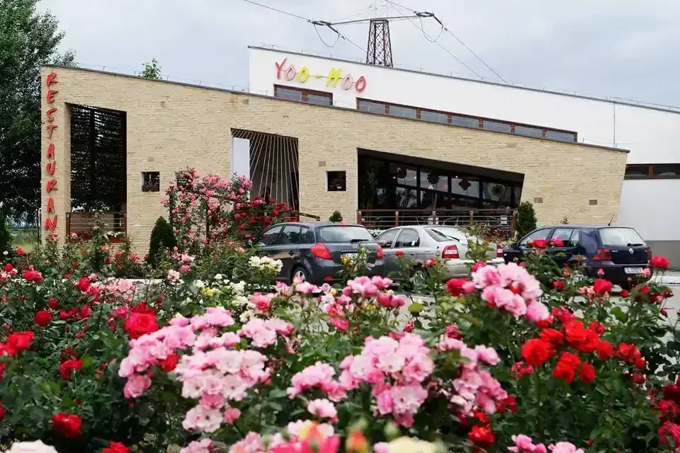 Restaurant Yoo Hoo - 1