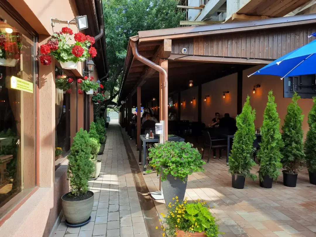 Restaurantul Elena - 6
