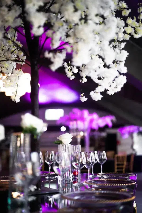 The Palm Ballroom - 2