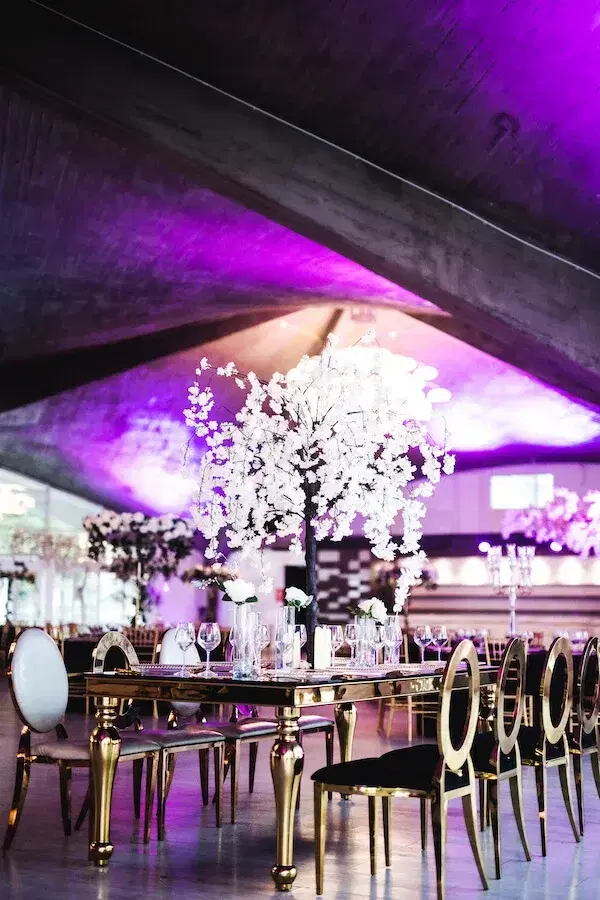 The Palm Ballroom - 6
