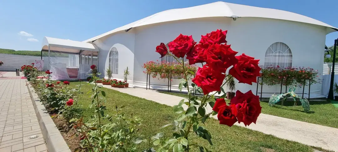 The White Dome - 4
