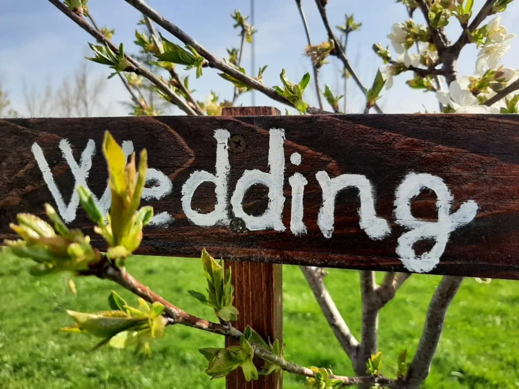 Artist, Salon pentru Evenimente - 6 Artist, Salon pentru Evenimente - 6