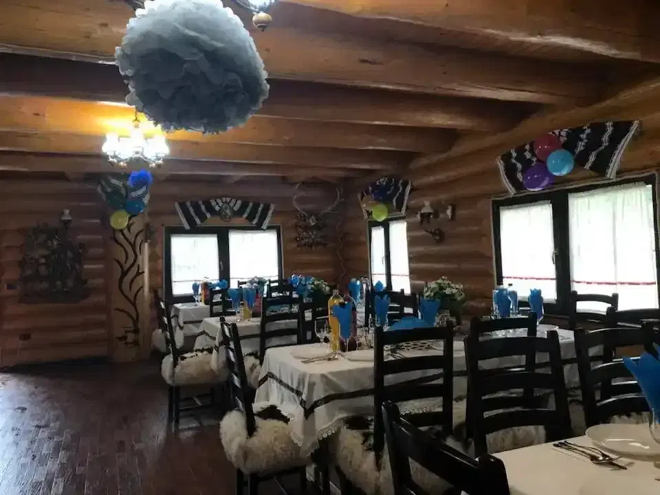 Colt de Rai Bucovinean - 1 Colt de Rai Bucovinean - 1