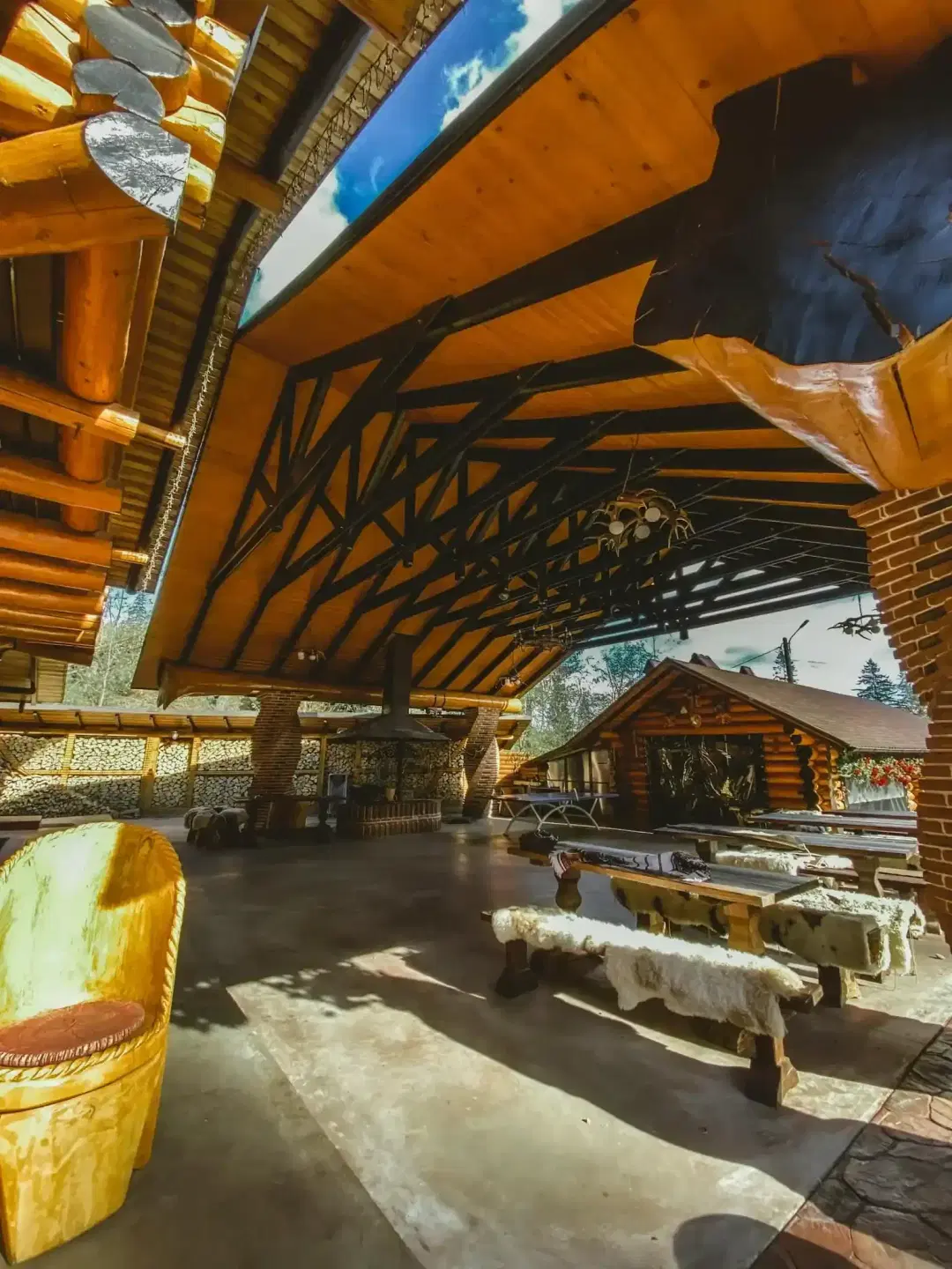 Colt de Rai Bucovinean - 3 Colt de Rai Bucovinean - 3