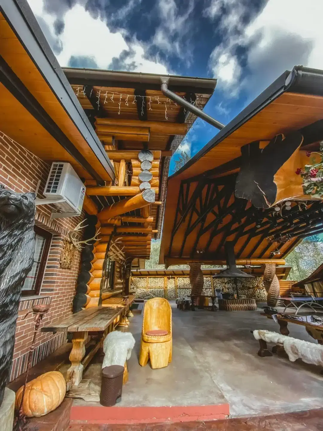 Colt de Rai Bucovinean - 4 Colt de Rai Bucovinean - 4