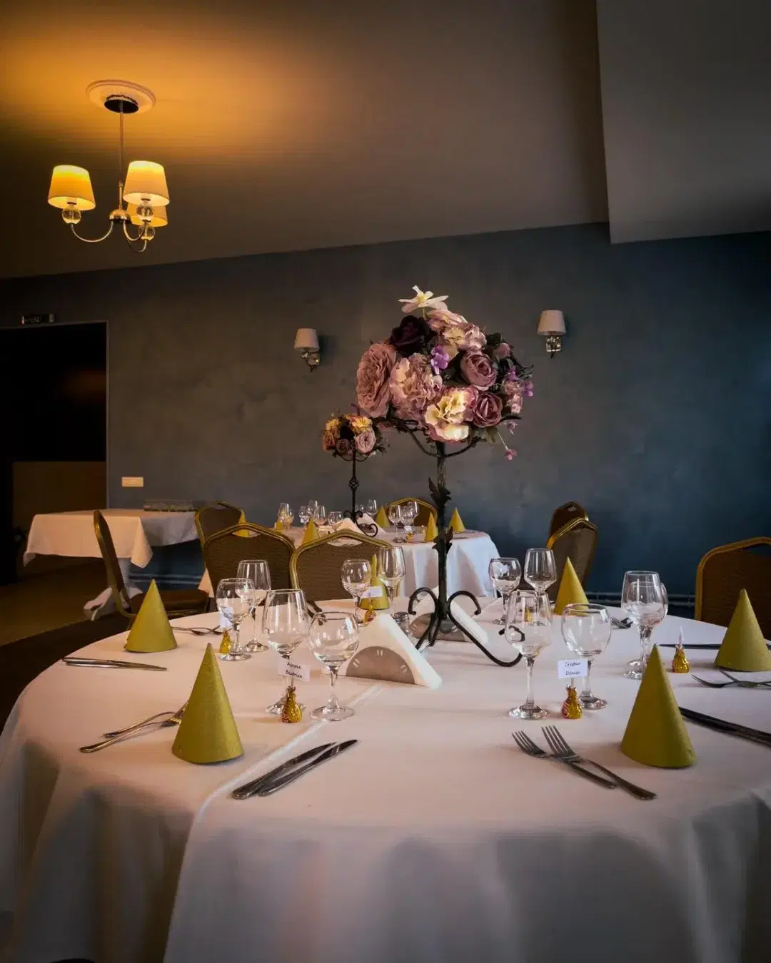 Conacul Trandafirilor - 6 Conacul Trandafirilor - 6