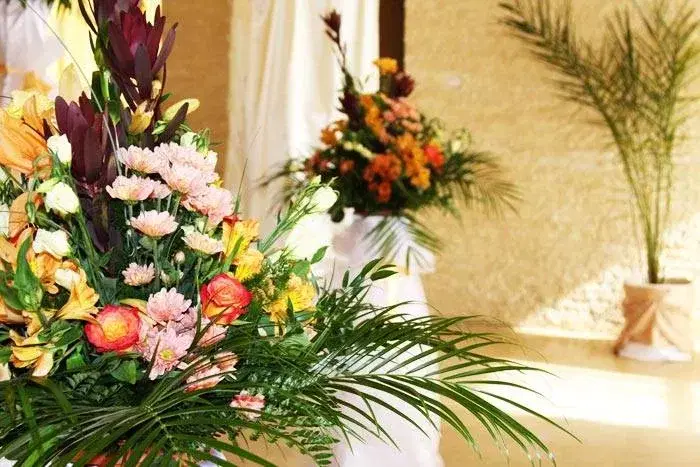 Coroana Transilvaniei - 5 Coroana Transilvaniei - 5