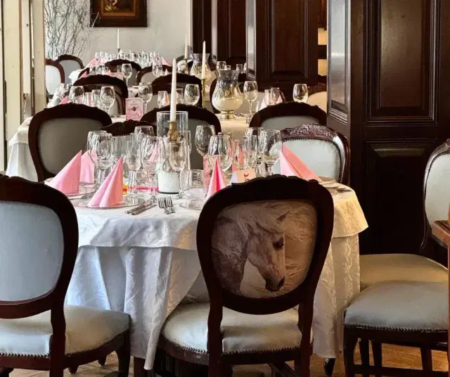 Domeniile Dracula Danes