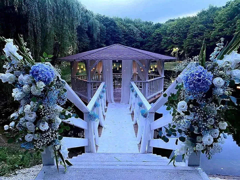 Forest Events Cucorani - 1 Forest Events Cucorani - 1