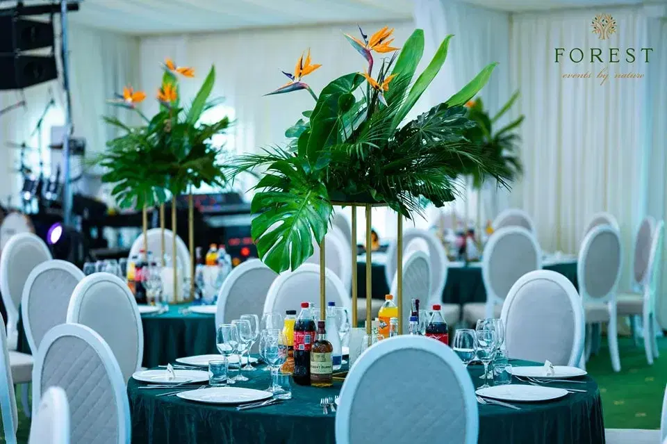 Forest Events Cucorani - 6 Forest Events Cucorani - 6