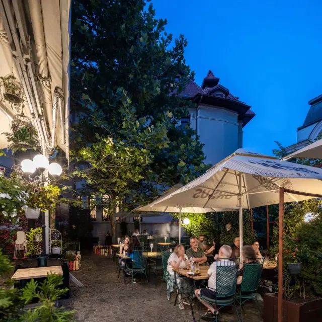 Hanul Berarilor Casa Elena Lupescu