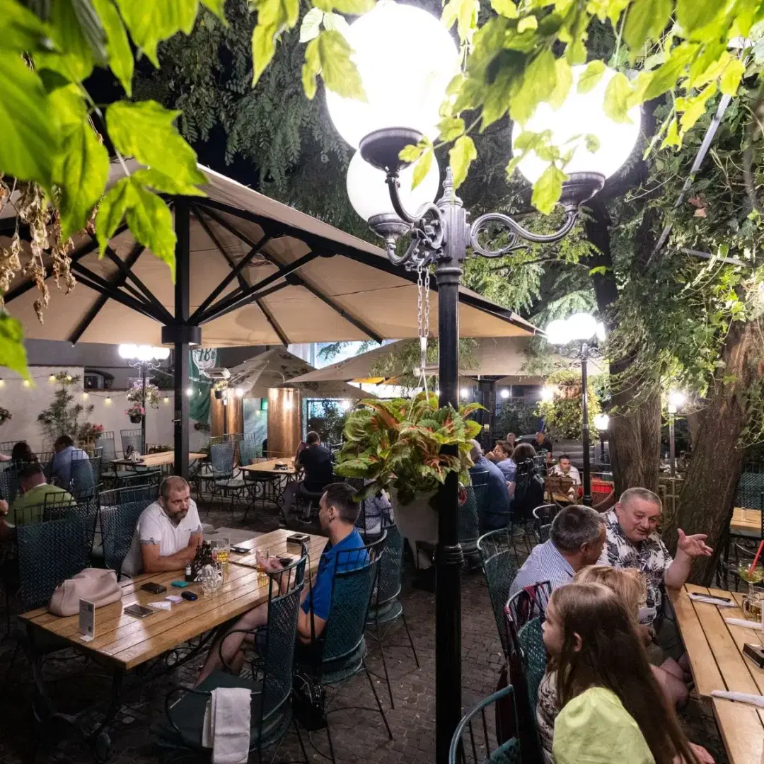 Hanul Berarilor Casa Elena Lupescu - 3 Hanul Berarilor Casa Elena Lupescu - 3