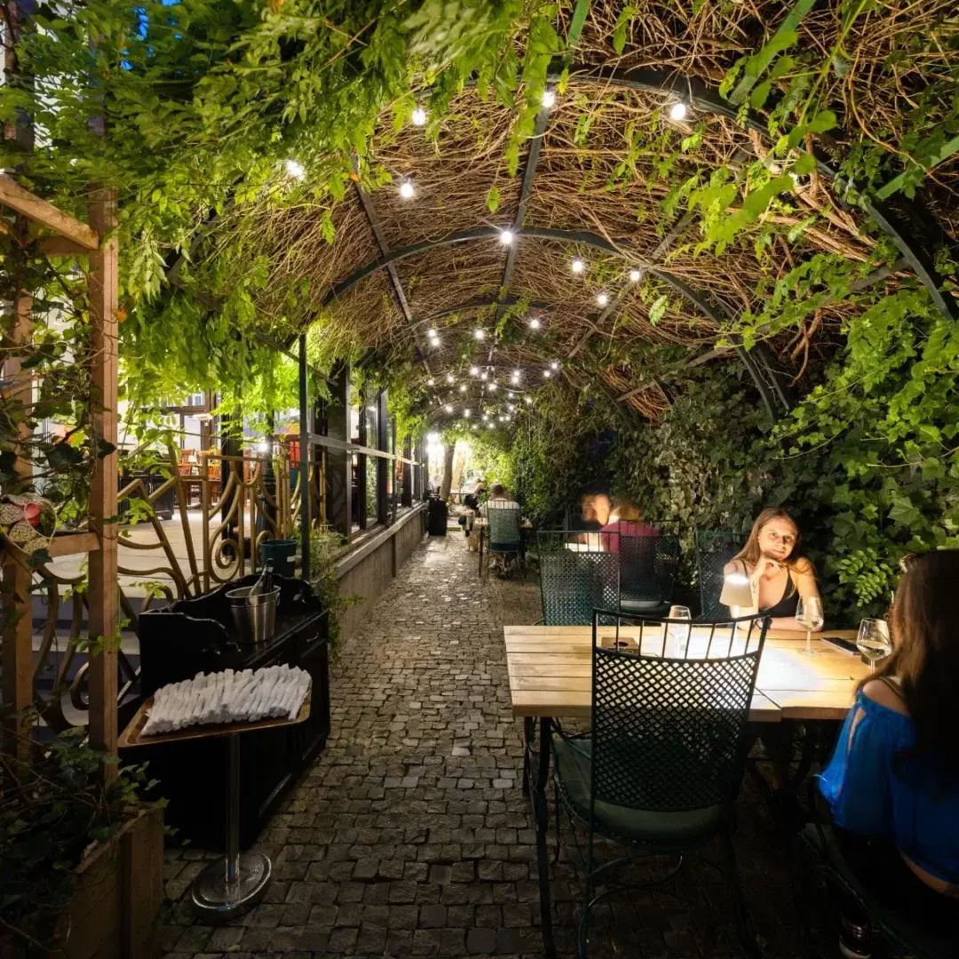 Hanul Berarilor Casa Elena Lupescu - 4 Hanul Berarilor Casa Elena Lupescu - 4