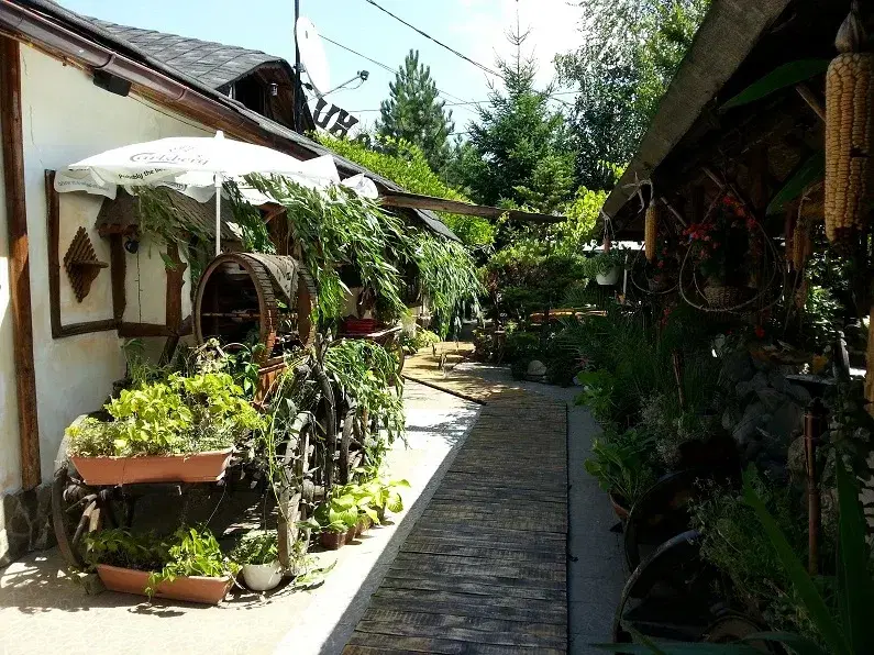 Hanul Dacilor Ploiești - 5 Hanul Dacilor Ploiești - 5