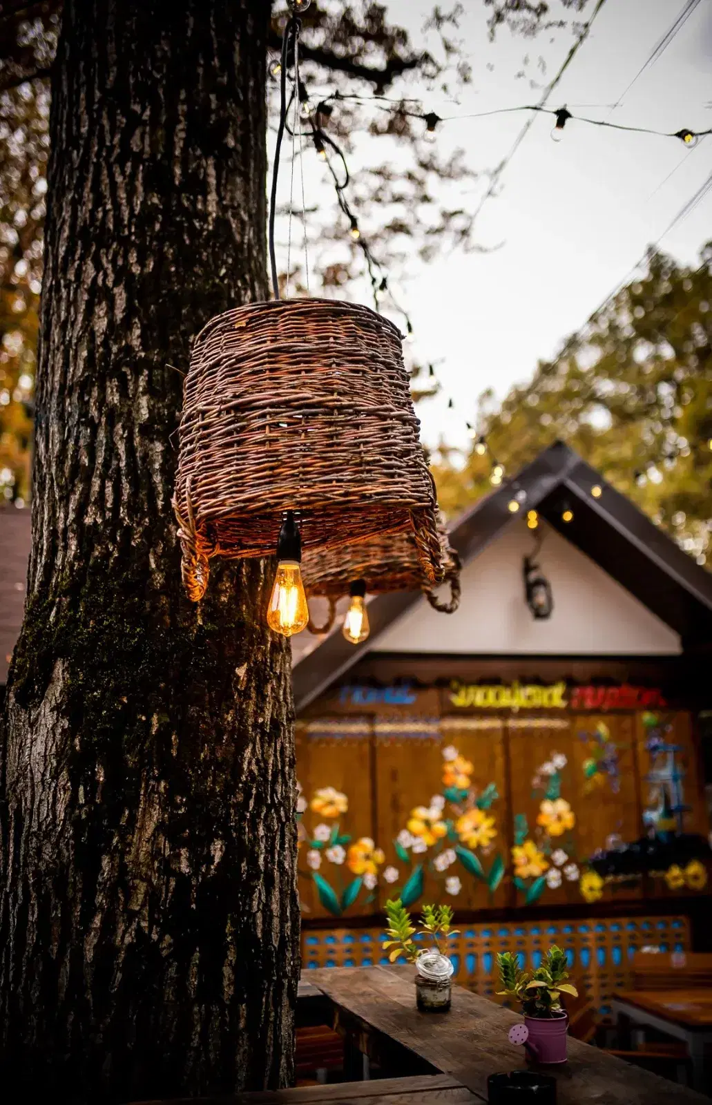 Hanul Traditional Muscelean - 5 Hanul Traditional Muscelean - 5