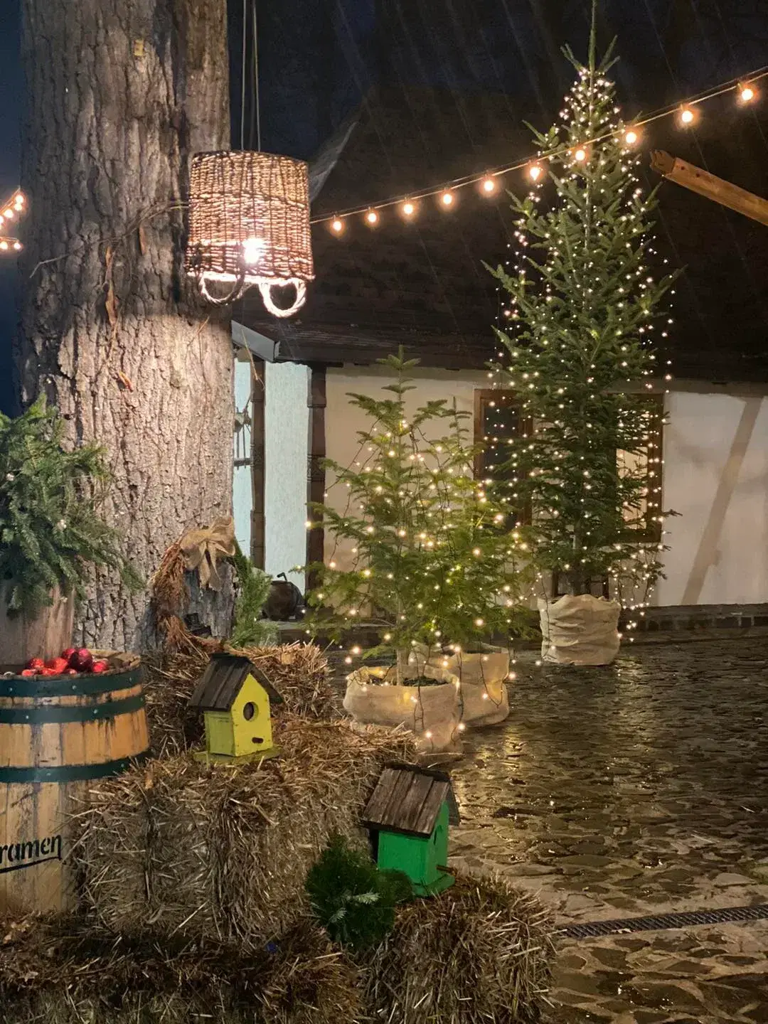 Hanul Traditional Muscelean - 6 Hanul Traditional Muscelean - 6