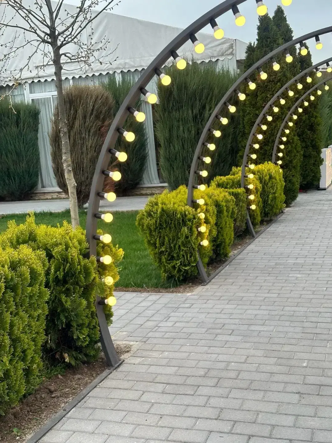 Infinity Garden Events - 6 Infinity Garden Events - 6