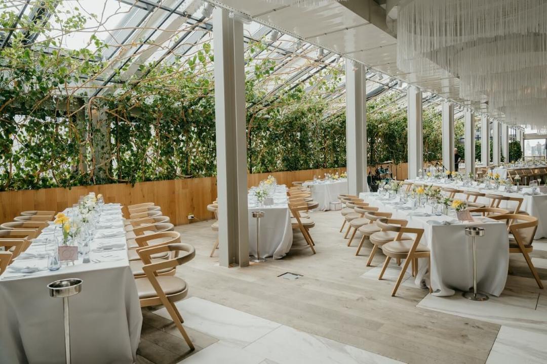 Linea – Closer to the moon - 1 Linea – Closer to the moon - 1