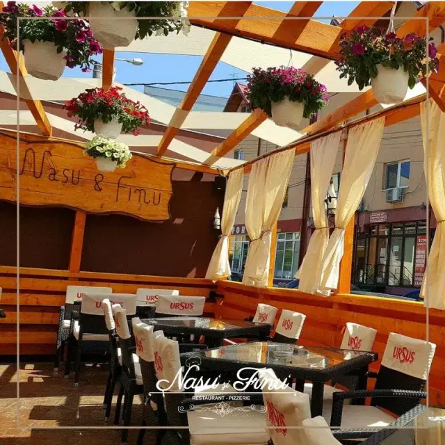 Nasu si Finu