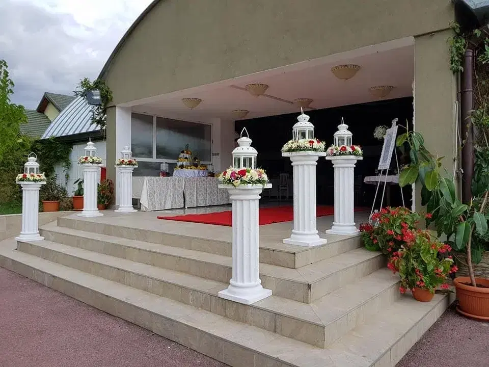 Padurea Verde Paulesti - 2 Padurea Verde Paulesti - 2