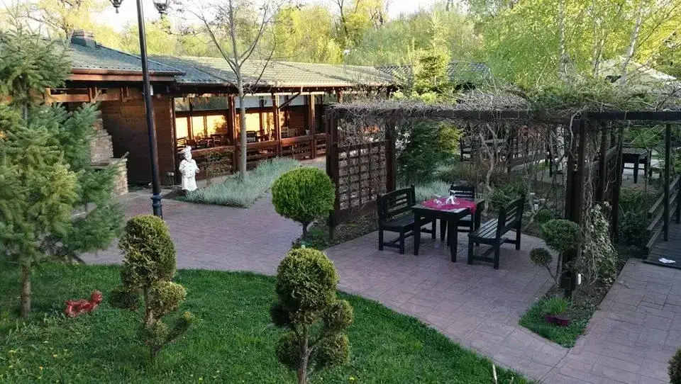 Padurea Verde Paulesti - 6 Padurea Verde Paulesti - 6