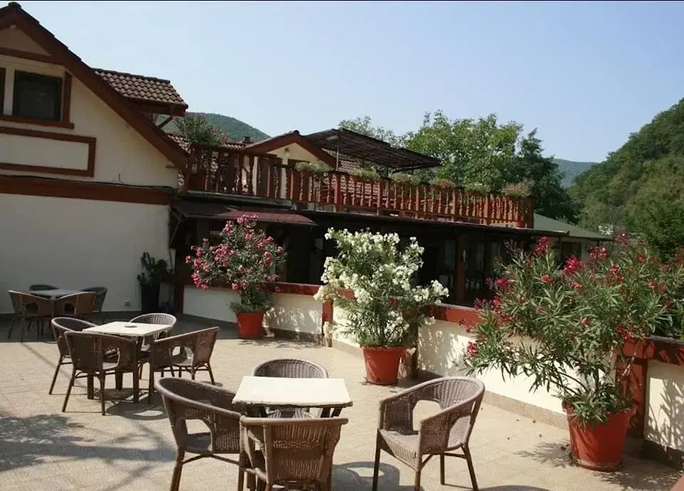 Pensiune Cuibul Viselor - 4 Pensiune Cuibul Viselor - 4