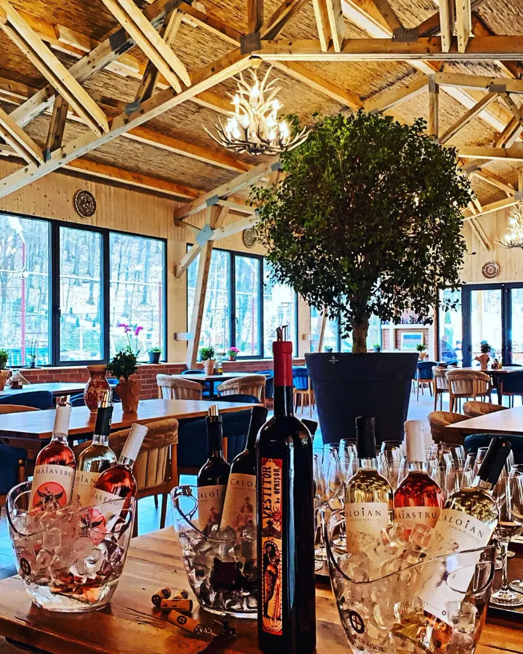 Pensiunea Valea Gepisului - 2 Pensiunea Valea Gepisului - 2