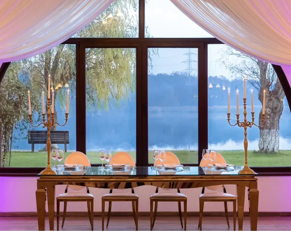 Phoenix Cernica New Concept - 1 Phoenix Cernica New Concept - 1