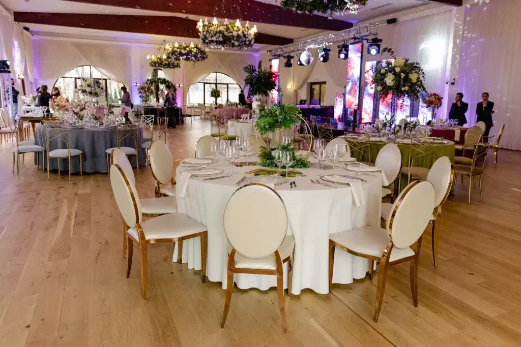 Phoenix Cernica New Concept - 3 Phoenix Cernica New Concept - 3