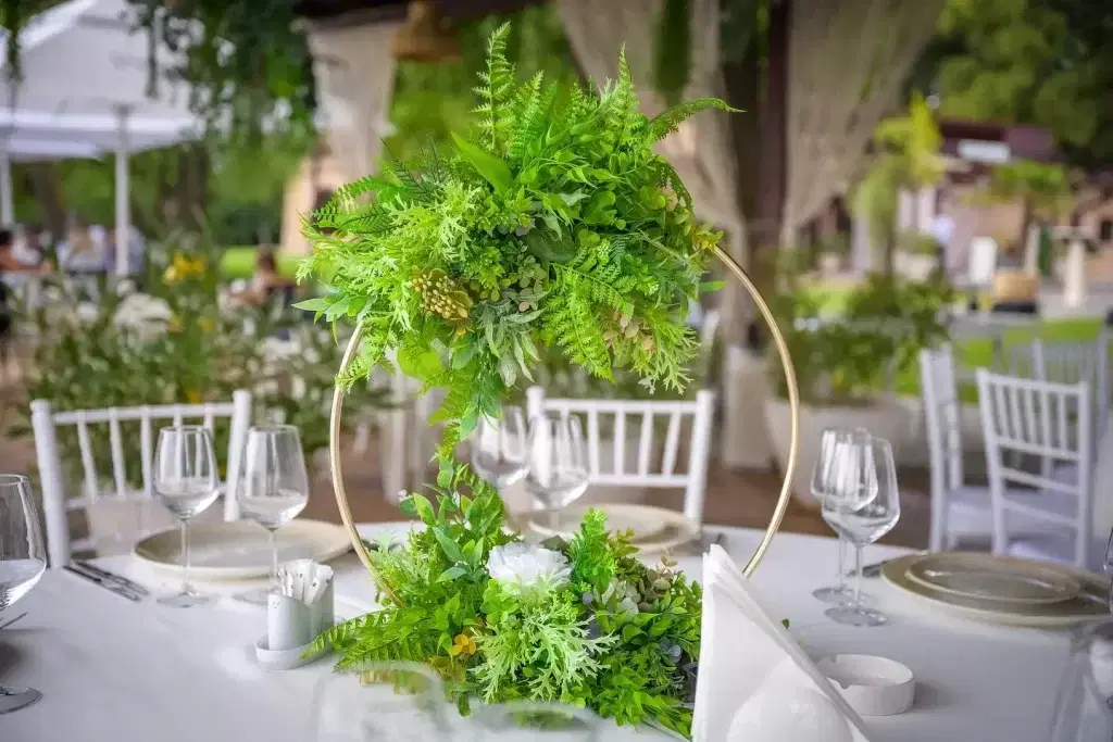 Phoenix Cernica New Concept - 4 Phoenix Cernica New Concept - 4