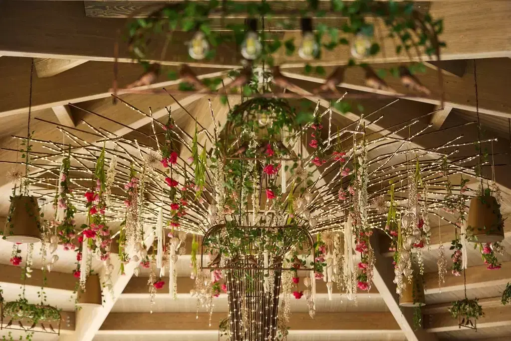 Resort Casa Timiș - 1 Resort Casa Timiș - 1